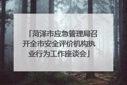 菏泽市应急管理局召开全市安全评价机构执业行为工作座谈会