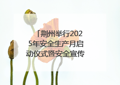 荆州举行2025年安全生产月启动仪式暨安全宣传咨询日活动
