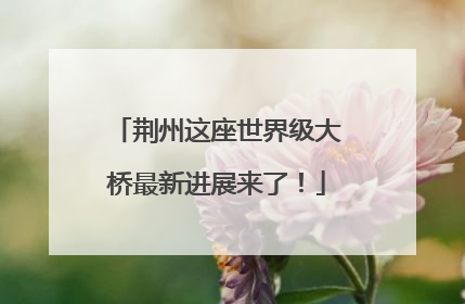 荆州这座世界级大桥最新进展来了！