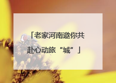 老家河南邀你共赴心动旅“城”