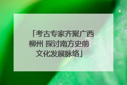 考古专家齐聚广西柳州 探讨南方史前文化发展脉络