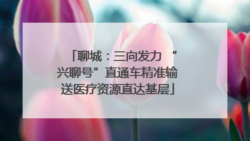 聊城：三向发力 “兴聊号”直通车精准输送医疗资源直达基层