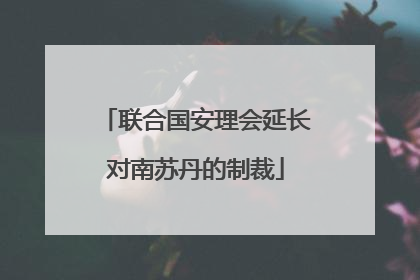 联合国安理会延长对南苏丹的制裁