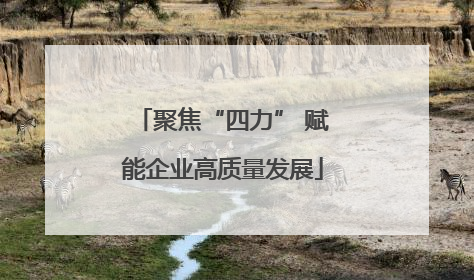 聚焦“四力” 赋能企业高质量发展