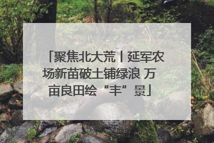 聚焦北大荒丨延军农场新苗破土铺绿浪 万亩良田绘“丰”景