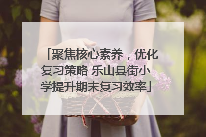 聚焦核心素养，优化复习策略 乐山县街小学提升期末复习效率