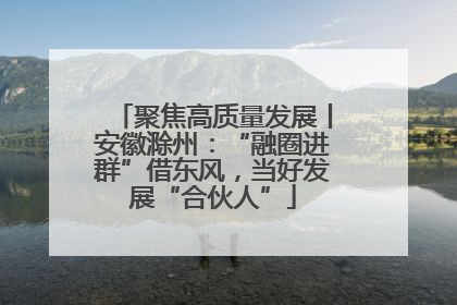 聚焦高质量发展丨安徽滁州：“融圈进群”借东风，当好发展“合伙人”