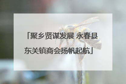 聚乡贤谋发展 永春县东关镇商会扬帆起航