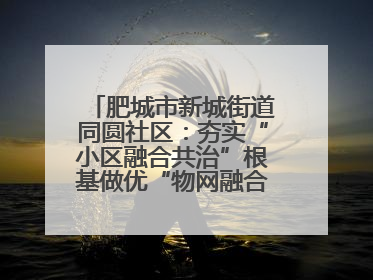肥城市新城街道同圆社区：夯实“小区融合共治”根基做优“物网融合一家亲”品牌