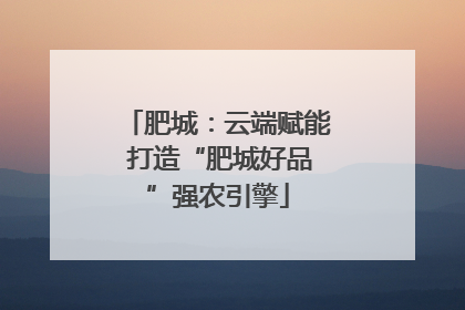 肥城：云端赋能 打造“肥城好品”强农引擎