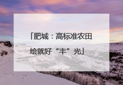 肥城：高标准农田绘就好“丰”光
