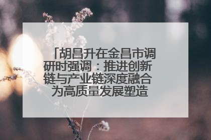胡昌升在金昌市调研时强调：推进创新链与产业链深度融合 为高质量发展塑造新动能新优势