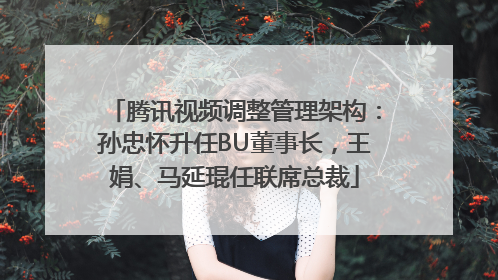 腾讯视频调整管理架构：孙忠怀升任BU董事长，王娟、马延琨任联席总裁