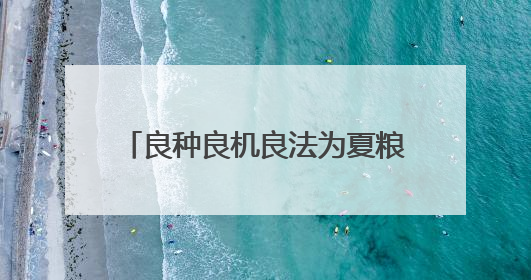 良种良机良法为夏粮丰收提供“硬支撑” 农业现代化图景有“智”更有“质”