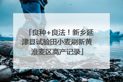 良种+良法！新乡延津县试验田小麦刷新黄淮麦区高产记录
