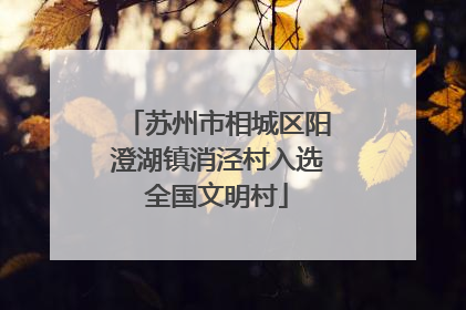 苏州市相城区阳澄湖镇消泾村入选全国文明村