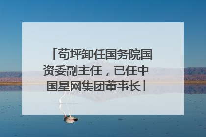 苟坪卸任国务院国资委副主任，已任中国星网集团董事长