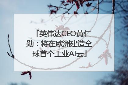 英伟达CEO黄仁勋：将在欧洲建造全球首个工业AI云