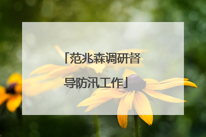 范兆森调研督导防汛工作