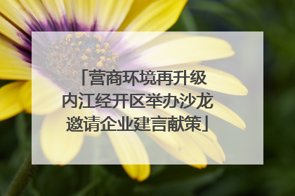 营商环境再升级 内江经开区举办沙龙邀请企业建言献策