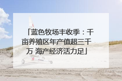 蓝色牧场丰收季：千亩养殖区年产值超三千万 海产经济活力足