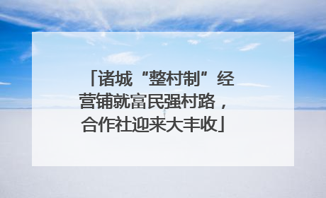 诸城“整村制”经营铺就富民强村路，合作社迎来大丰收
