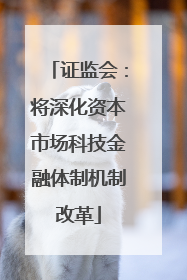 证监会：将深化资本市场科技金融体制机制改革