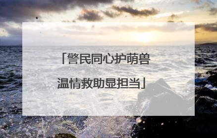 警民同心护萌兽 温情救助显担当