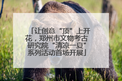 让创意“顶”上开花，郑州市文物考古研究院“清凉一夏”系列活动首场开展