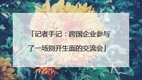 记者手记：跨国企业参与了一场别开生面的交流会