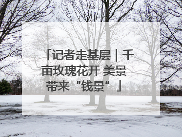 记者走基层｜千亩玫瑰花开 美景带来“钱景”