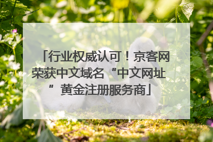 行业权威认可！京客网荣获中文域名“中文网址”黄金注册服务商