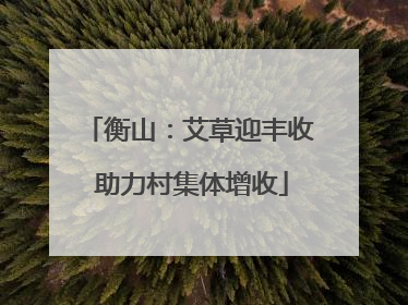 衡山：艾草迎丰收 助力村集体增收