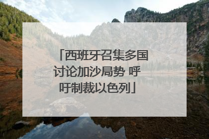 西班牙召集多国讨论加沙局势 呼吁制裁以色列