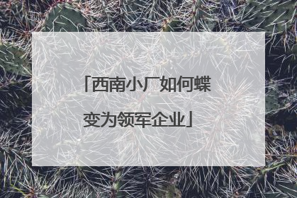 西南小厂如何蝶变为领军企业