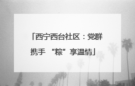 西宁西台社区：党群携手 “粽”享温情