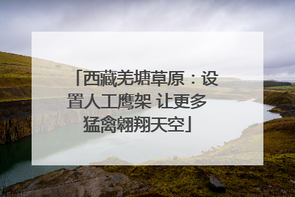 西藏羌塘草原：设置人工鹰架 让更多猛禽翱翔天空