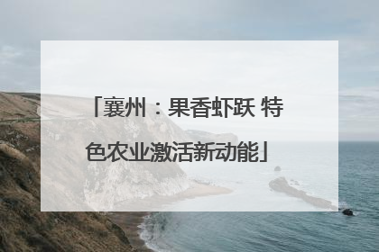 襄州：果香虾跃 特色农业激活新动能