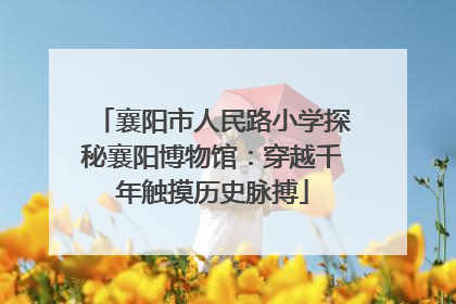 襄阳市人民路小学探秘襄阳博物馆：穿越千年触摸历史脉搏