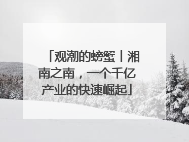 观潮的螃蟹丨湘南之南，一个千亿产业的快速崛起