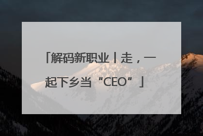 解码新职业丨走，一起下乡当“CEO”