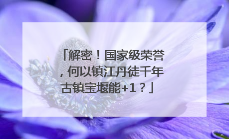 解密！国家级荣誉，何以镇江丹徒千年古镇宝堰能+1？