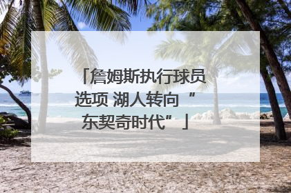 詹姆斯执行球员选项 湖人转向“东契奇时代”