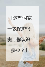 这些国家一级保护鸟类，你认识多少？