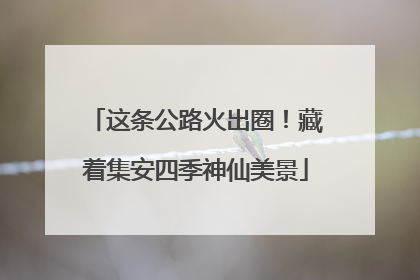 这条公路火出圈！藏着集安四季神仙美景