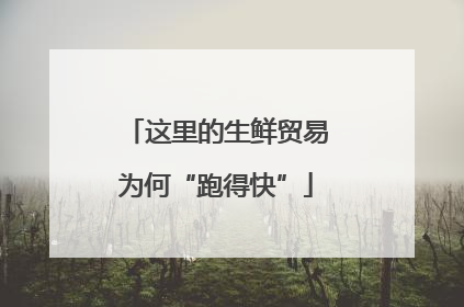 这里的生鲜贸易为何“跑得快”