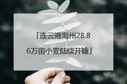 连云港海州28.86万亩小麦陆续开镰