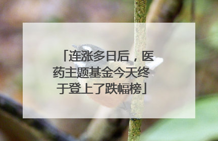 连涨多日后，医药主题基金今天终于登上了跌幅榜