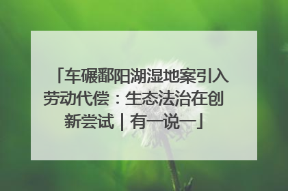 车碾鄱阳湖湿地案引入劳动代偿：生态法治在创新尝试｜有一说一
