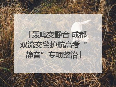 轰鸣变静音 成都双流交警护航高考“静音”专项整治